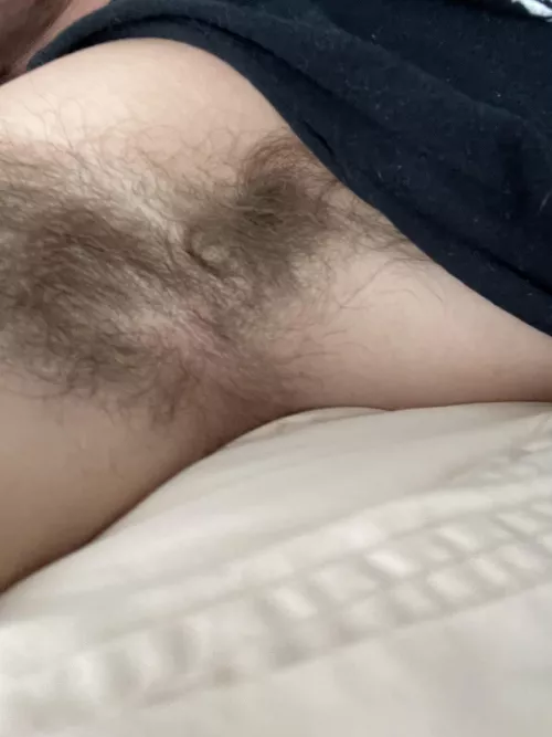 Pit close up Pit close up