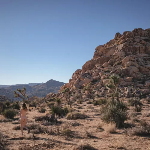Planning my next trip to Joshua Tree! Who has been?! Planning my next trip to Joshua Tree! Who has been?!