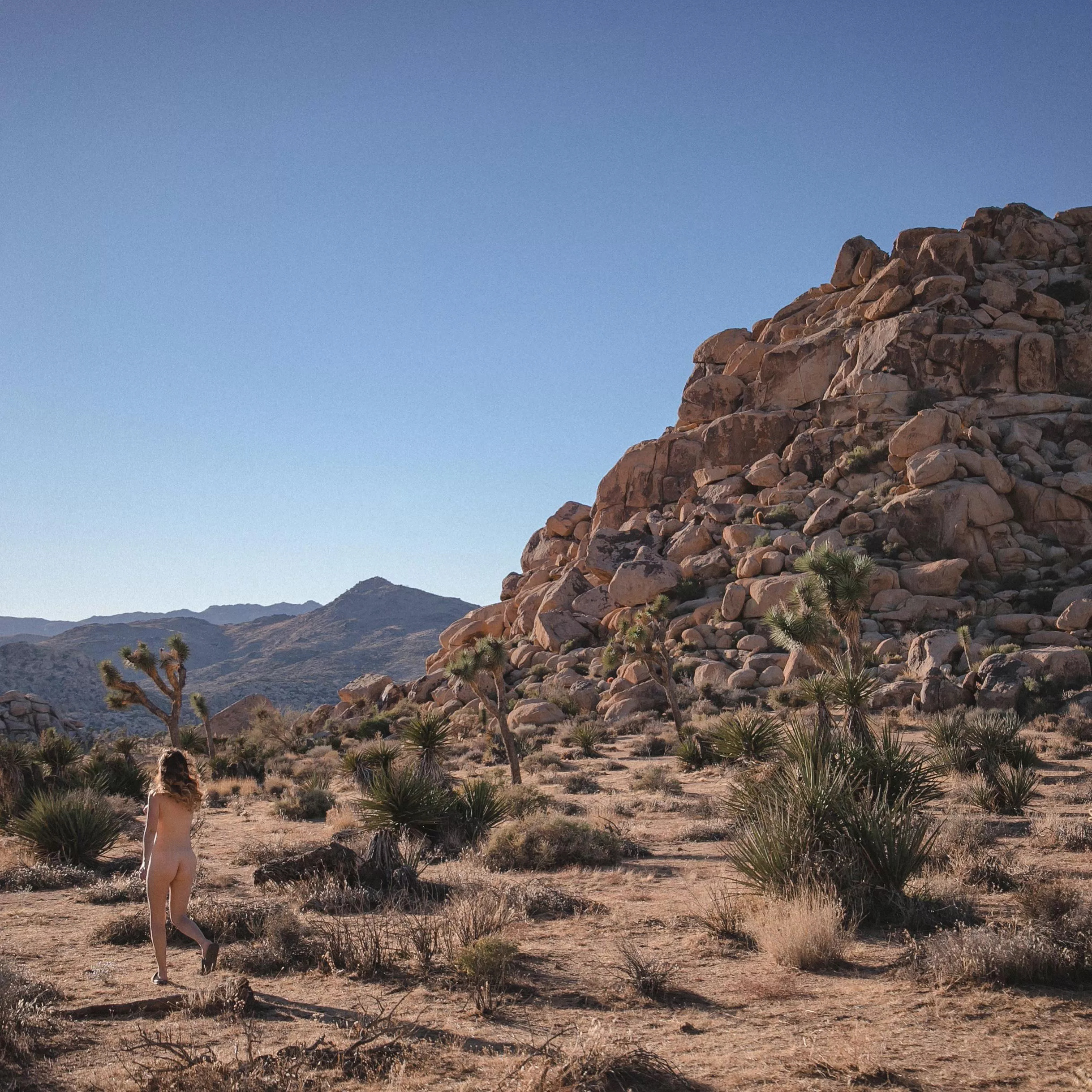 Planning my next trip to Joshua Tree! Who has been?! Planning my next trip to Joshua Tree! Who has been?!