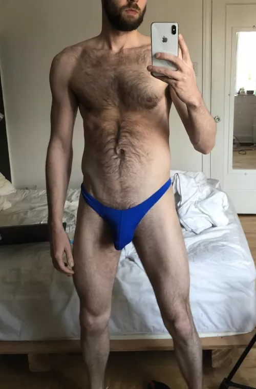play with this blue bulge