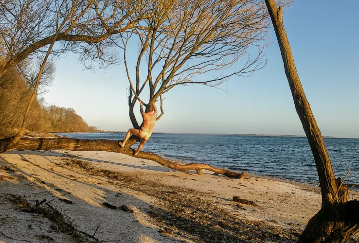 Playful on a frosty February morning