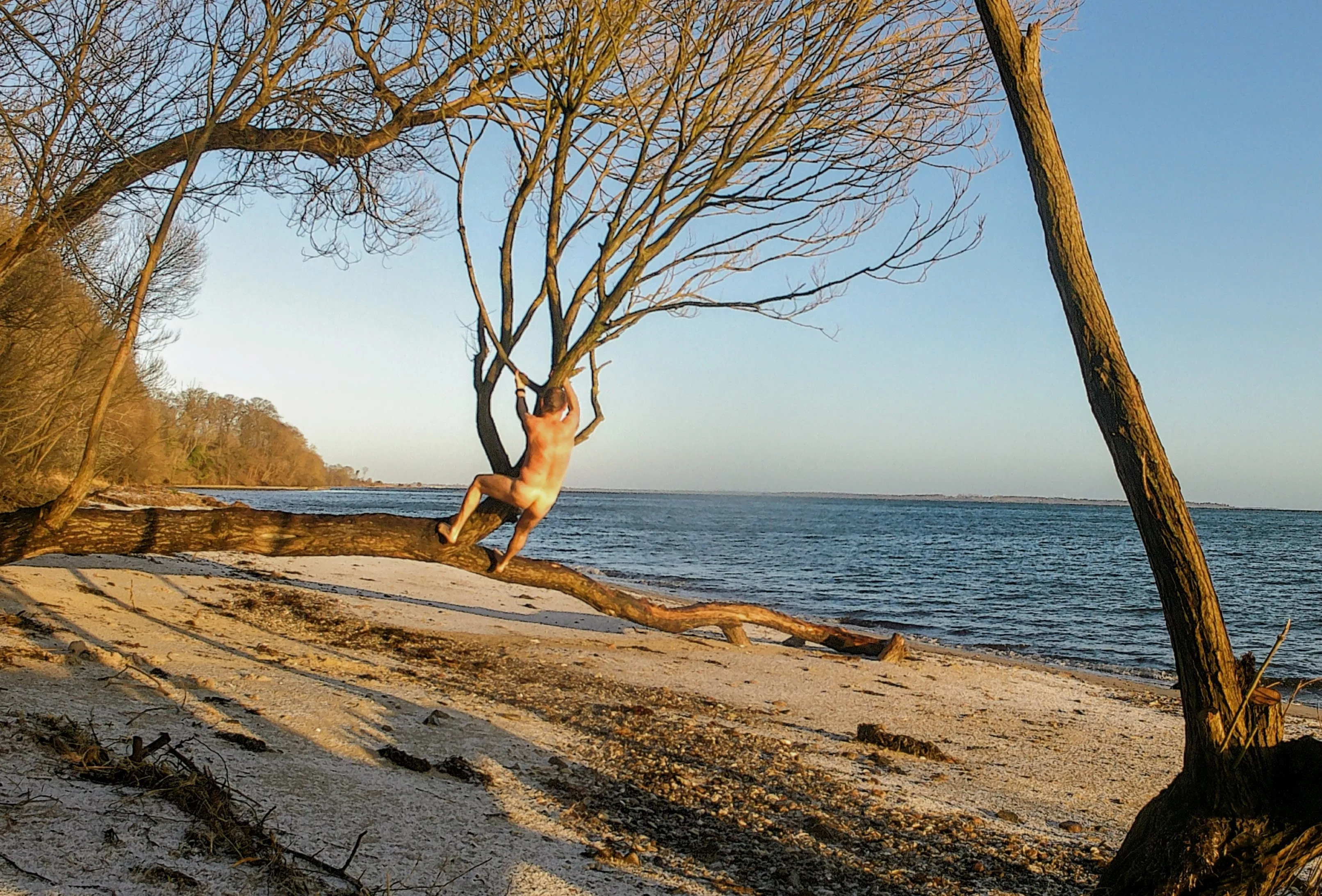 Playful on a frosty February morning