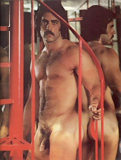 Playgirl 1970s. Not sure of his name.