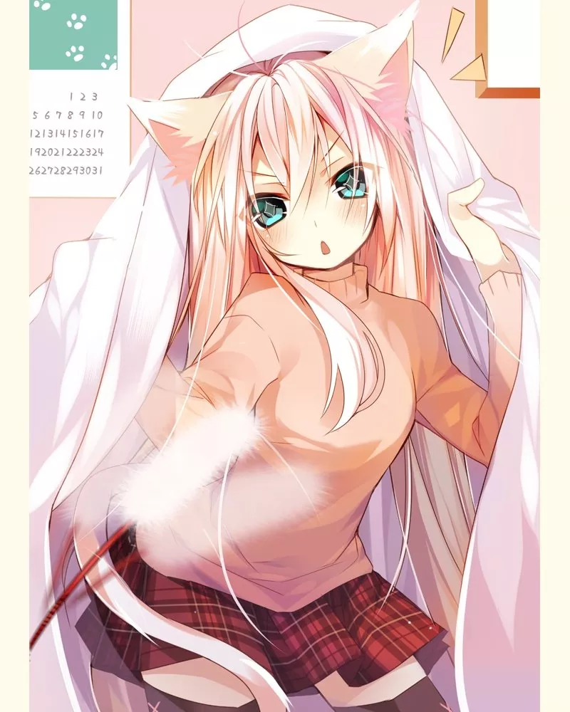 Playing with a Neko Playing with a Neko