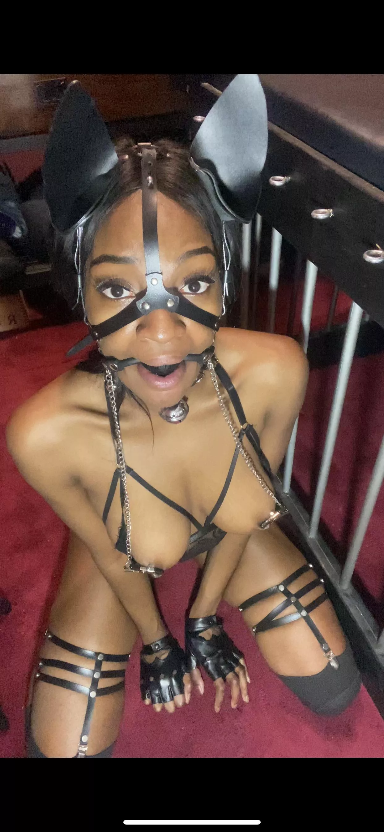 Please be gentle 🥺