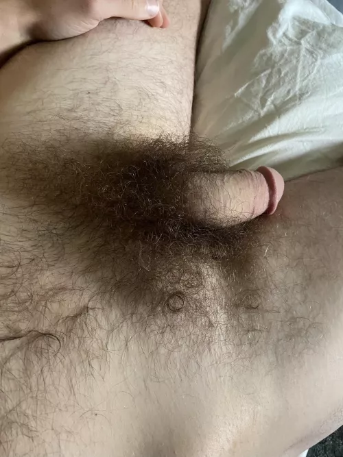 Please, explore my jungle