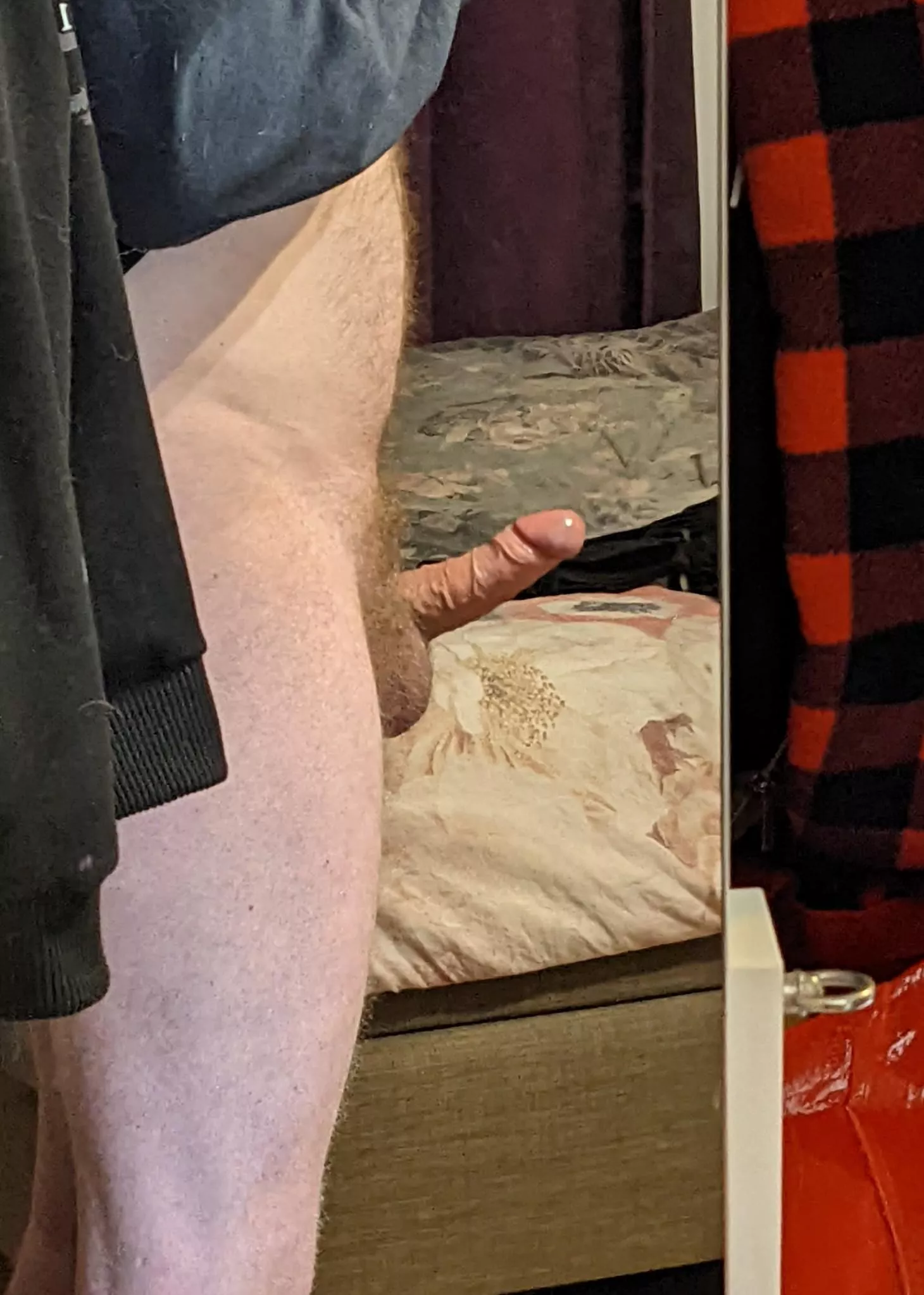 Please put an ass around it! Please put an ass around it!