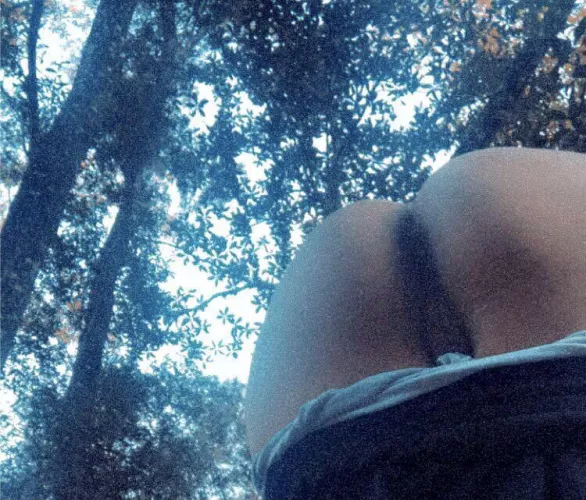 Plow me in the woods? 😉