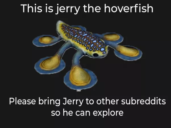 Pls don't delete