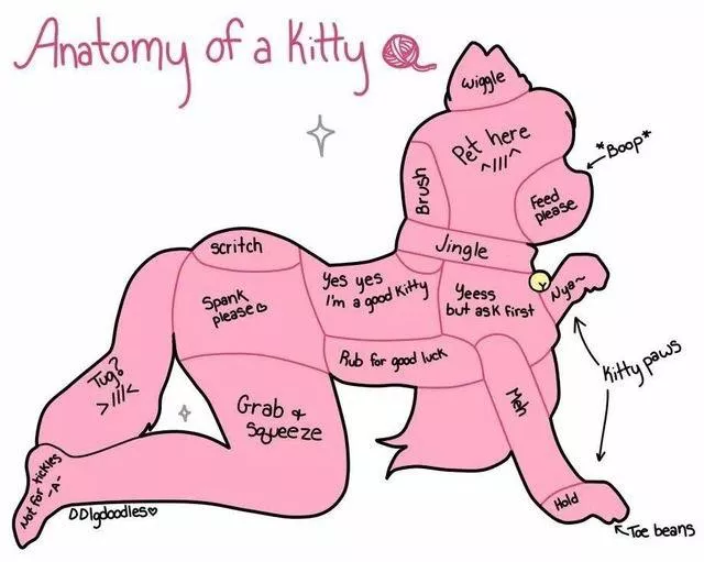 pls follow instructions (DDLGDoodles) pls follow instructions (DDLGDoodles)