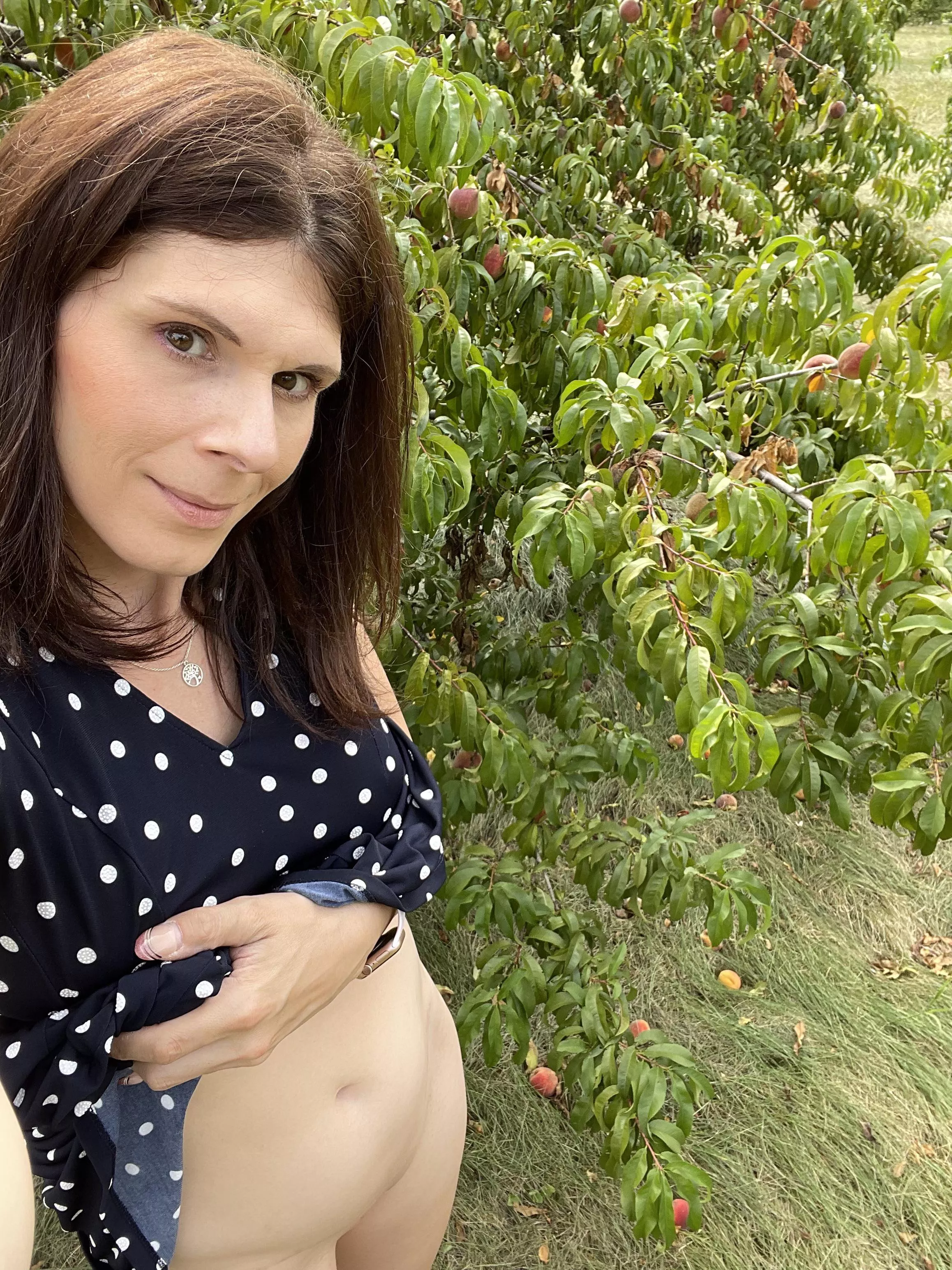 Polkadot dress in a peach orchard…classic yet feminine (39F) Polkadot dress in a peach orchard…classic yet feminine (39F)
