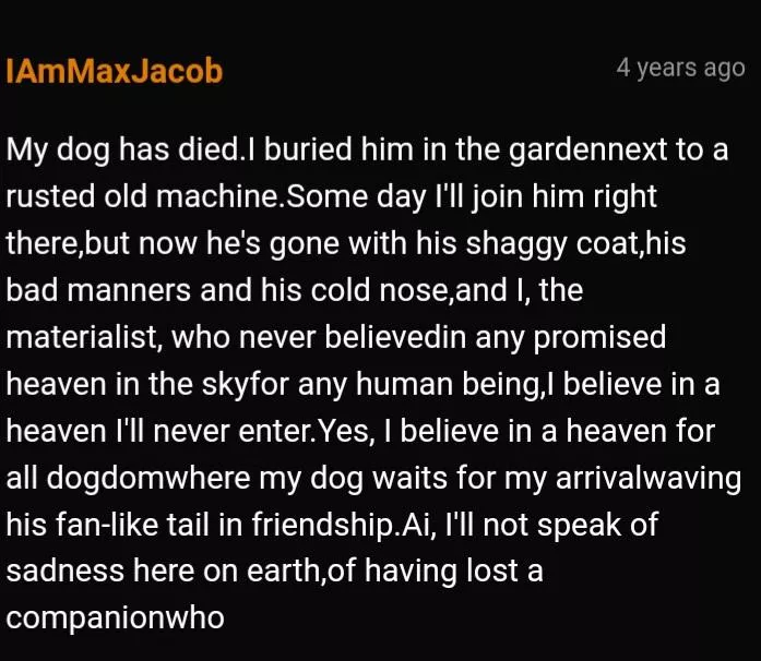 Poor dog Poor dog