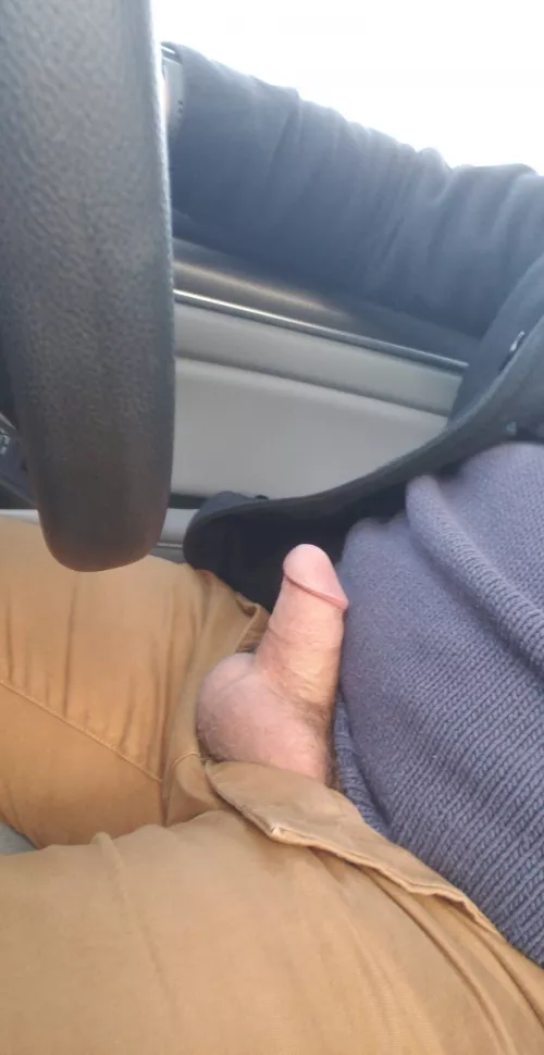 Popping him out for some air omw to work.