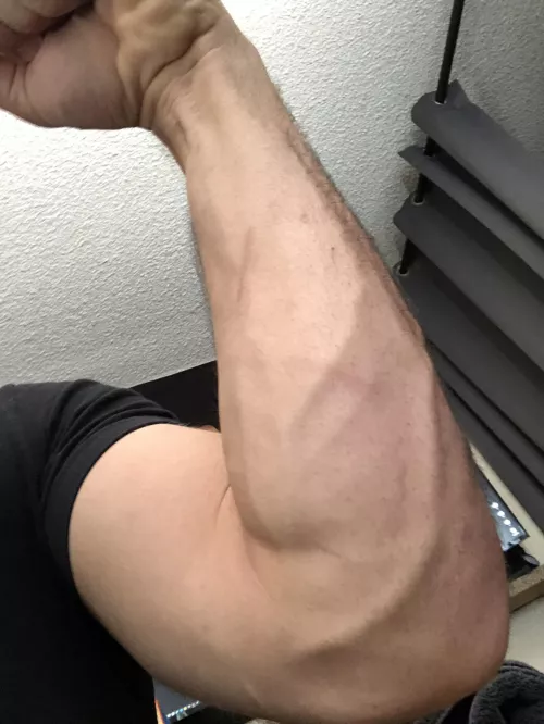 Porn.. of the forearm variety 💪 Porn.. of the forearm variety 💪