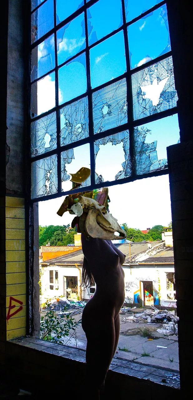 Posing like a Dead Horse © Manuel Laval Posing like a Dead Horse © Manuel Laval