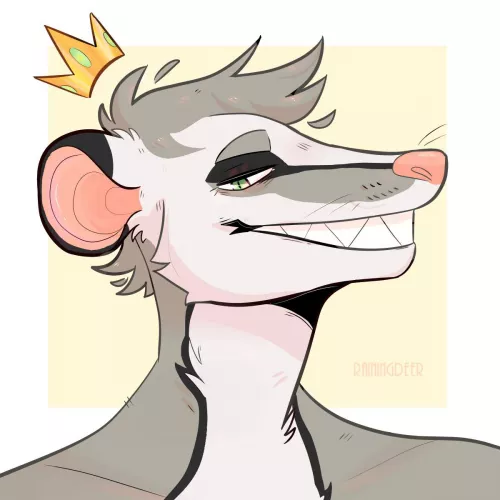 possum boi!!!