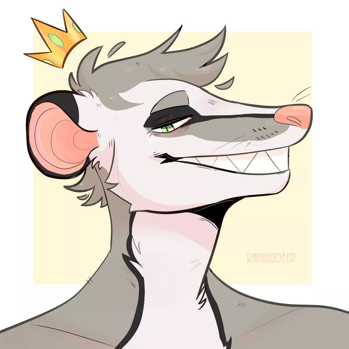possum boi!!!