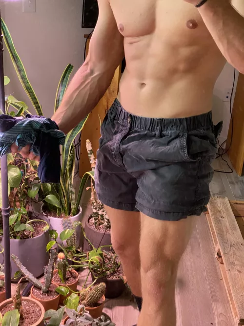 Post arm day Post arm day