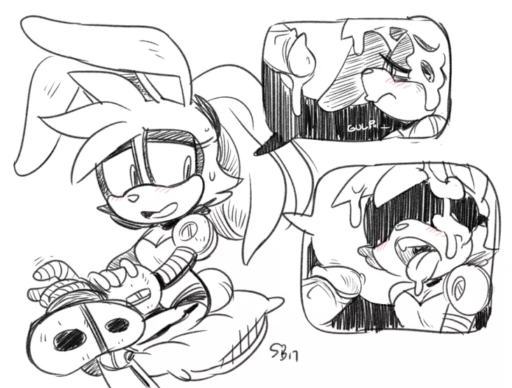 Posting best Sonic girl until the new game releases (day 13)