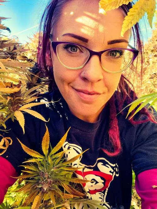 pot farming MILF....smash or pass? pot farming MILF....smash or pass?