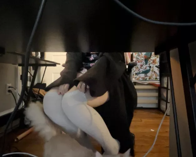 POV from under the desk while I WFH. Who wants to help me with my cable management?? (Peep the pussy)