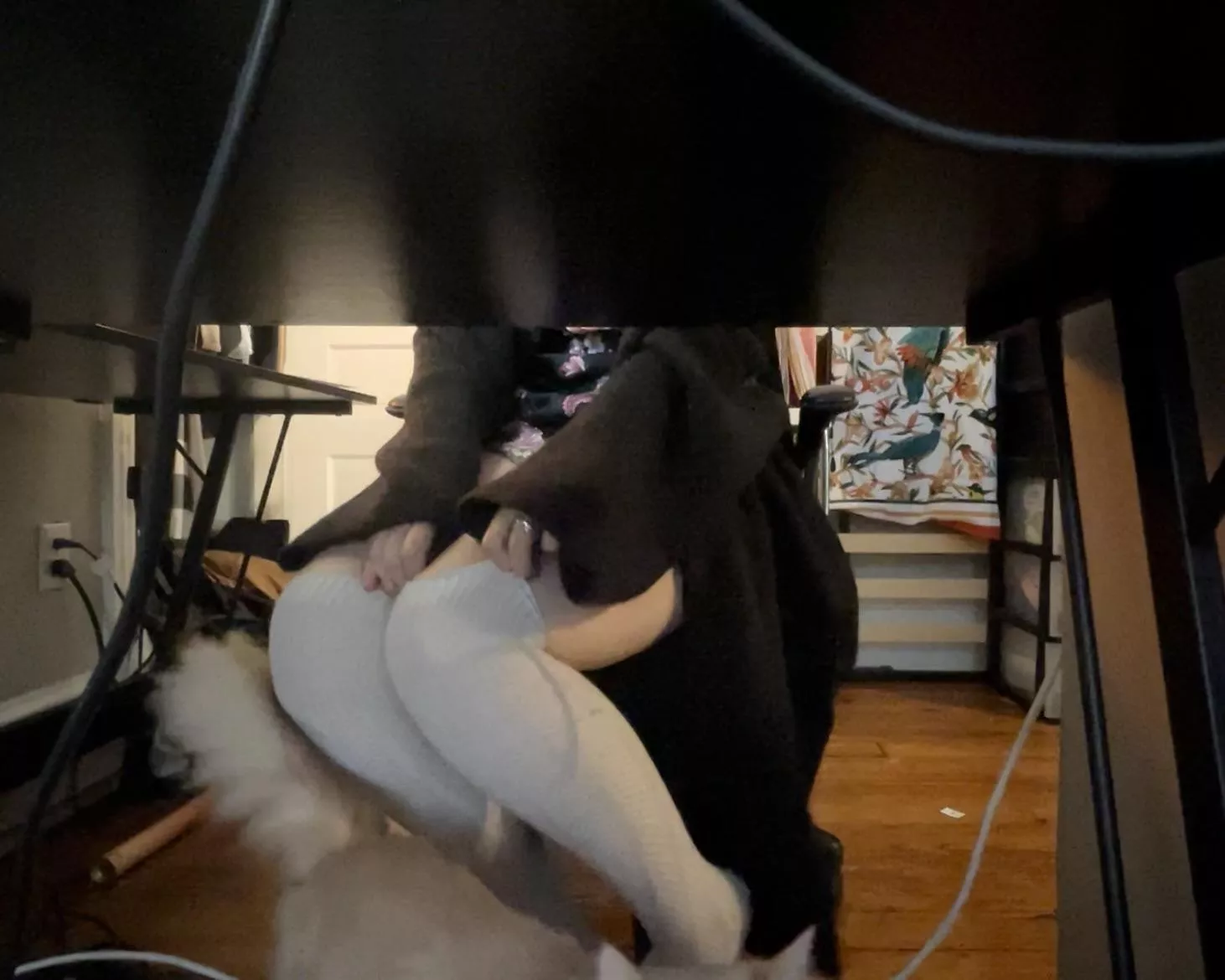 POV from under the desk while I WFH. Who wants to help me with my cable management?? (Peep the pussy)