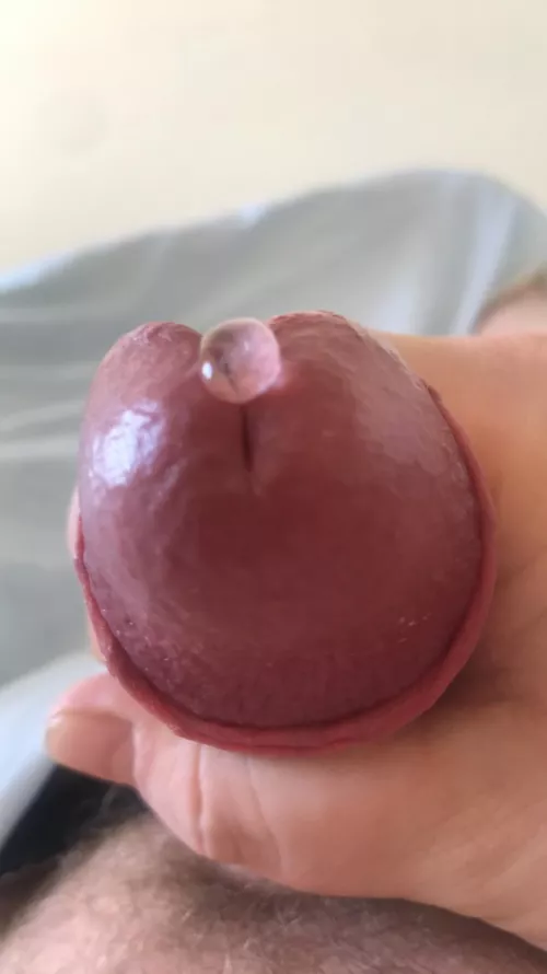 Precum