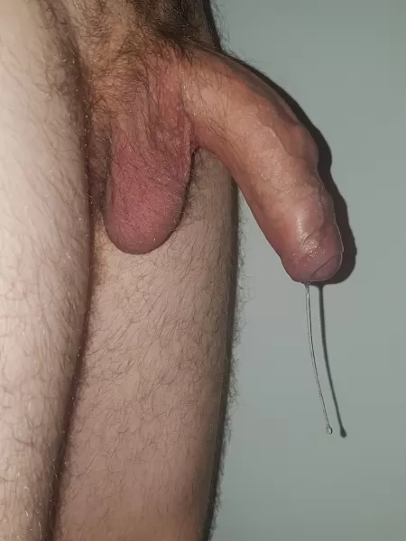 Precum effortlessly drips from my uncut cock Precum effortlessly drips from my uncut cock