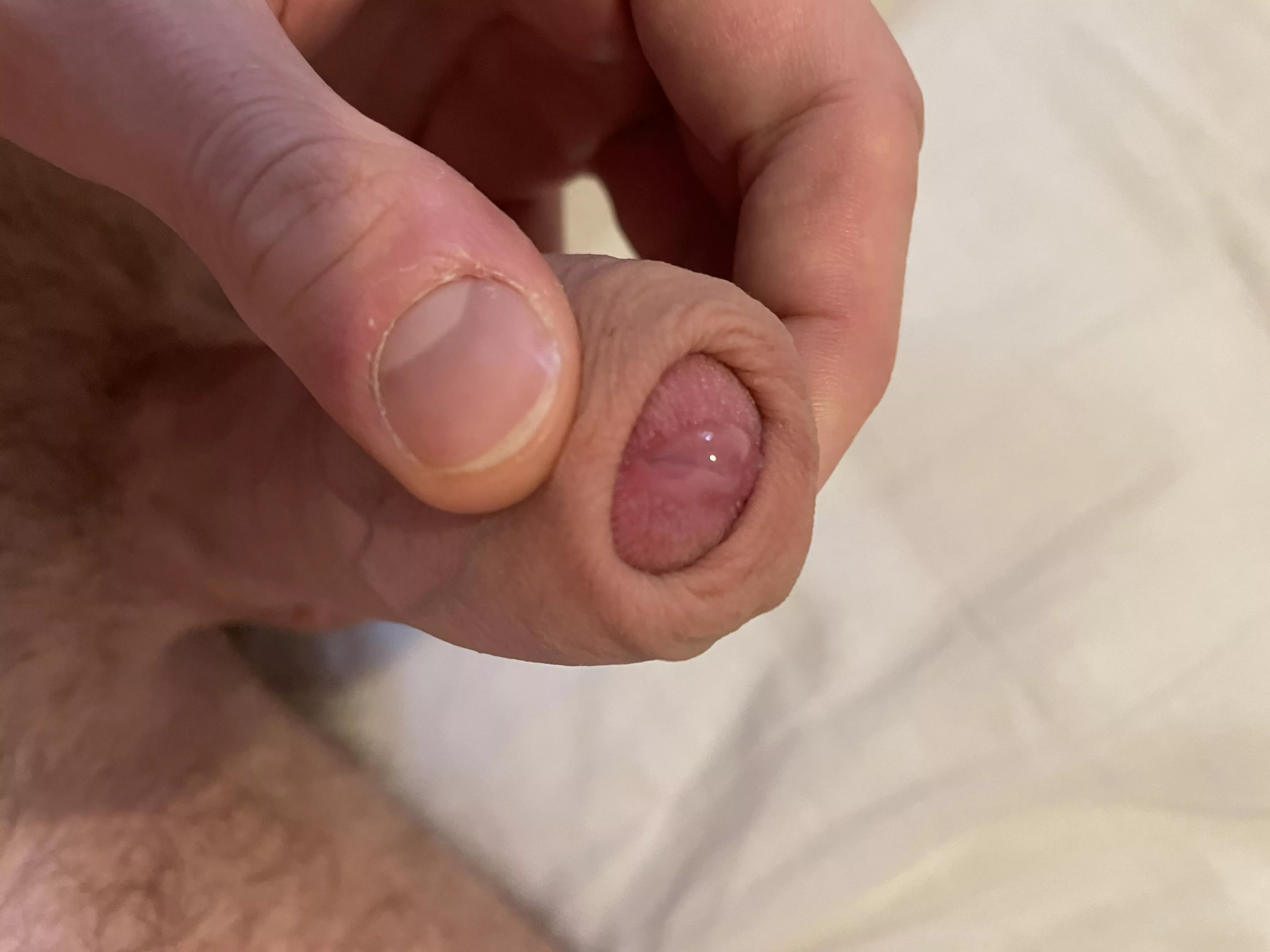 precum, wanna lick? precum, wanna lick?