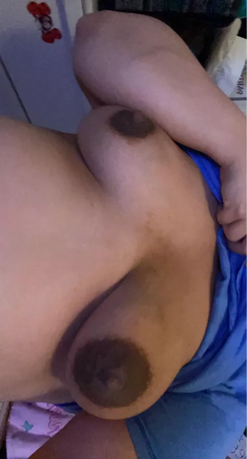 Pregnant tits