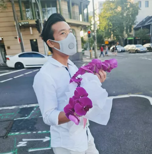 Pretty Flowers Pretty Flowers