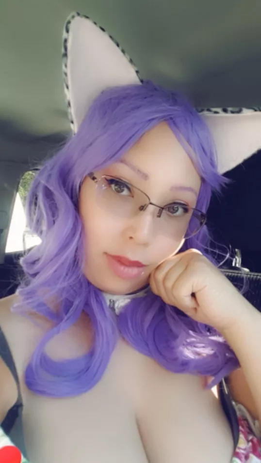 Pretty kitty waiting for Master.