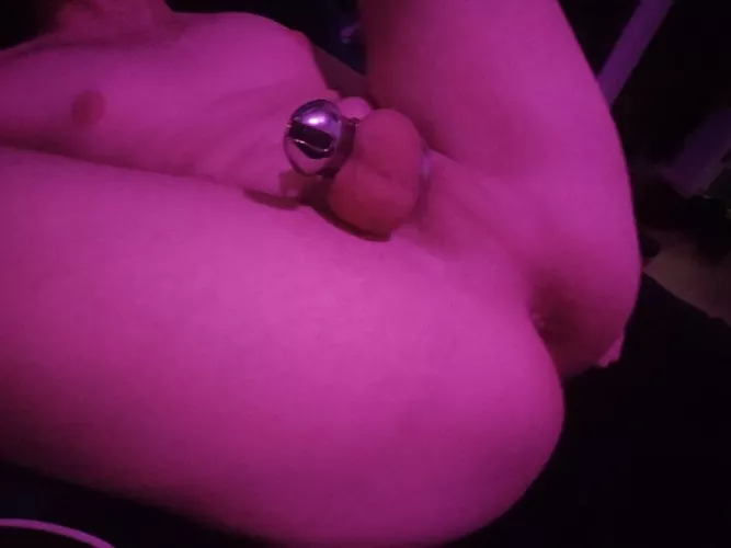 Pretty please do your worst π