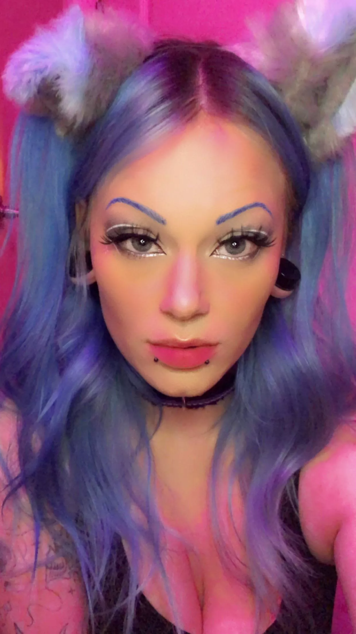 Pretty pup new collar vibes 💜