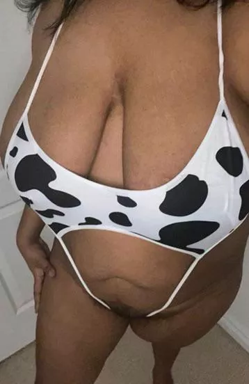 Princess cow doesn’t know if she will be appreciated here. I this she is a pretty cow. What do you say?