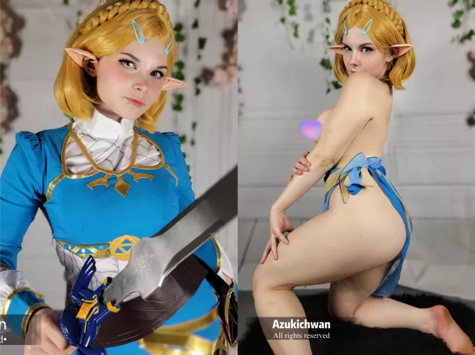 Princess Zelda [Breath Of The Wild] (azukichwan)
