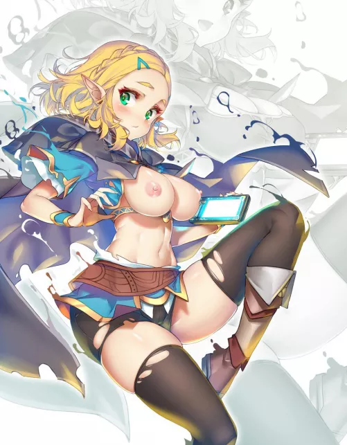 Princess Zelda (hong) Princess Zelda (hong)