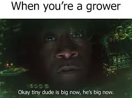 Probably seen this many times before but it perfectly fits how being a grower feels. Got this off google images btw. Probably seen this many times before but it perfectly fits how being a grower feels. Got this off google images btw.