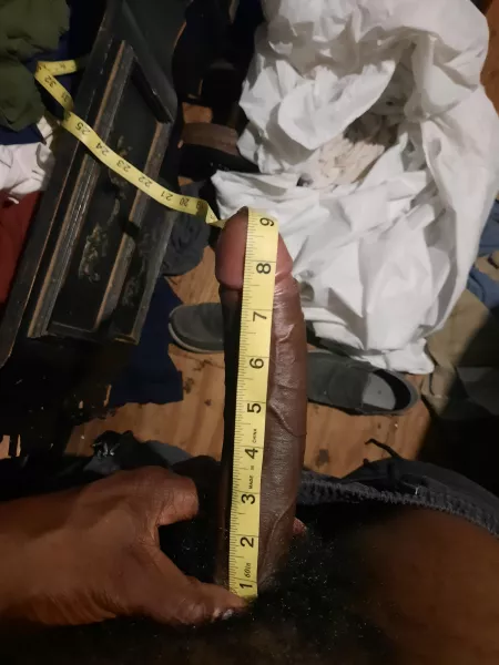 Proof of size. Excuse the mess, but you're not here to clean. You're here to get dicked down