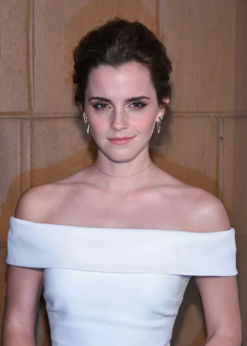 Proud Emma Watson needs a good rough fucking like the princess she is Proud Emma Watson needs a good rough fucking like the princess she is