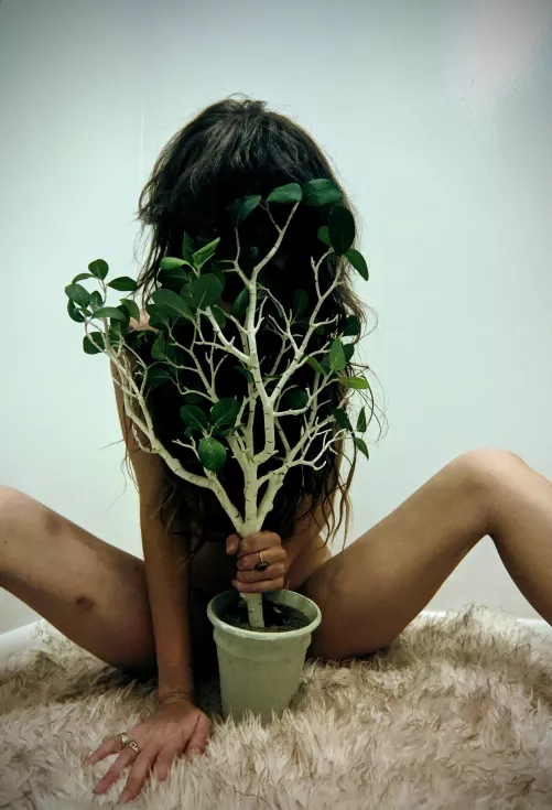 Prétend the plant is my penis and go from there