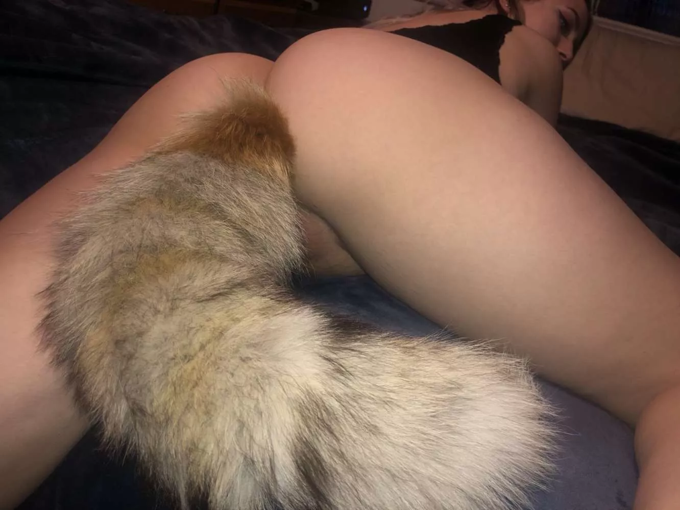 Pull my tail βΊοΈ Pull my tail βΊοΈ