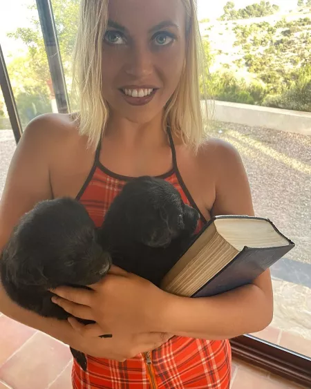 Puppies Puppies