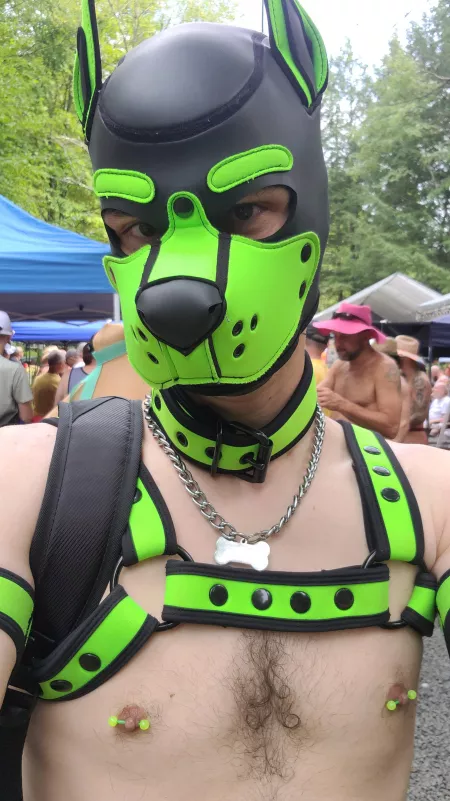 Pupping out at camp!! Woof! Pupping out at camp!! Woof!