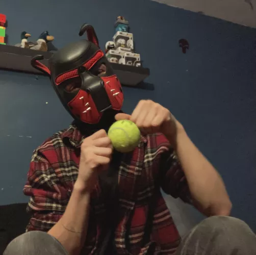 Puppy found a ball at the park! I’m a happy boy ruff!