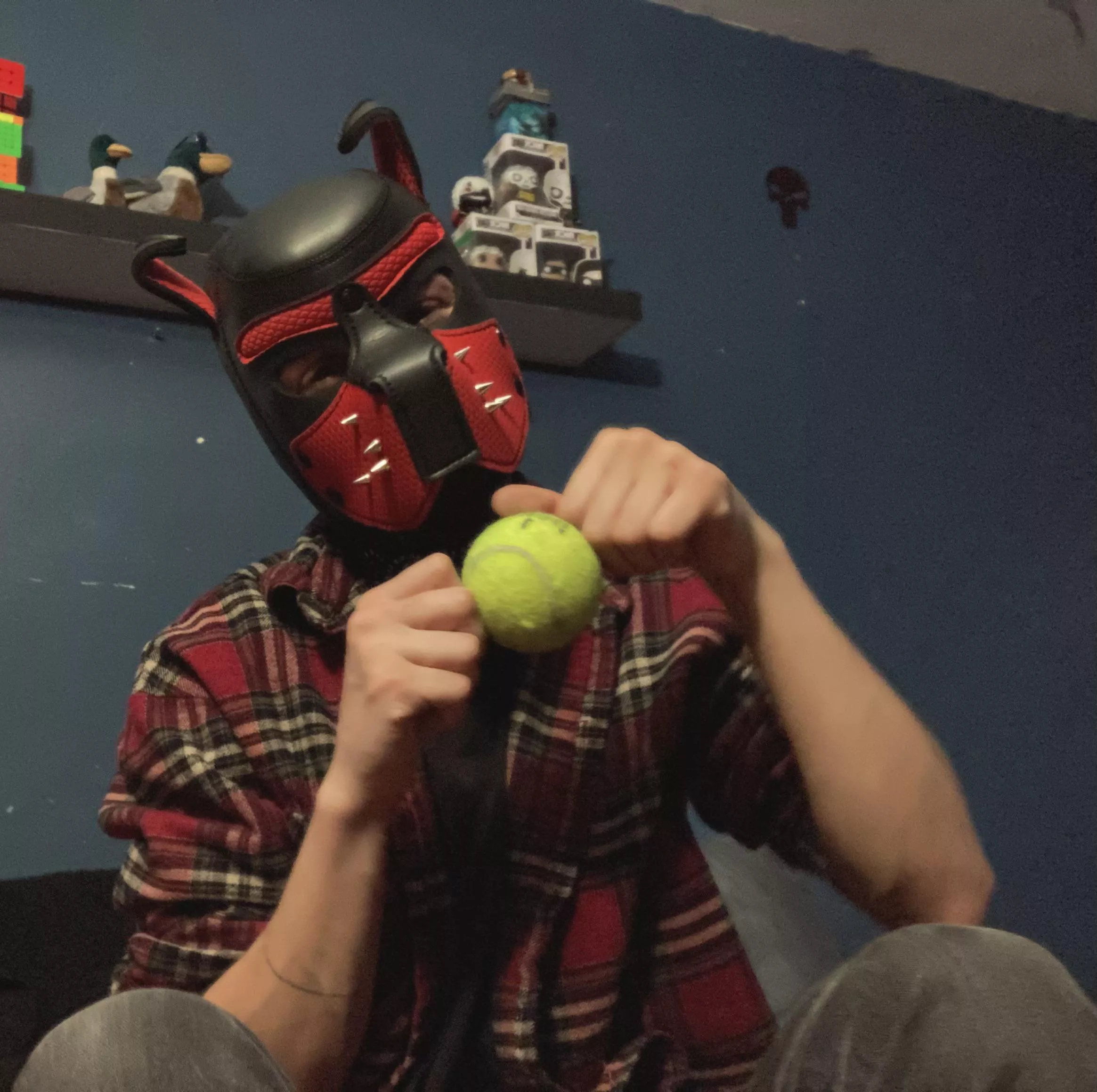 Puppy found a ball at the park! I’m a happy boy ruff!