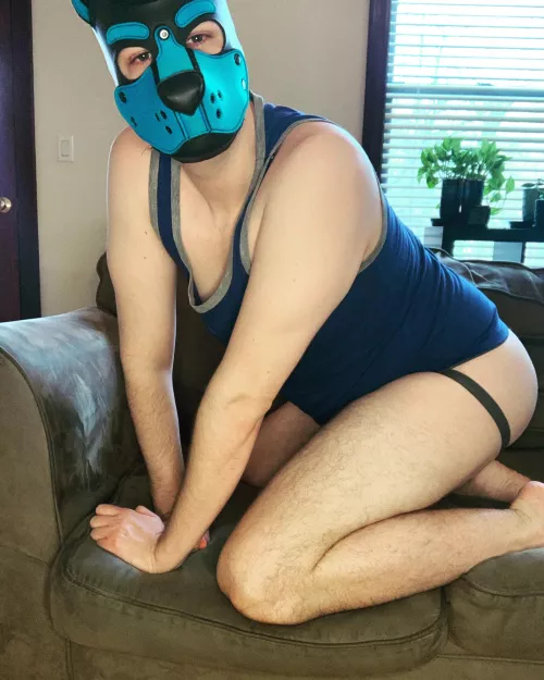 Puppy got up on the furniture