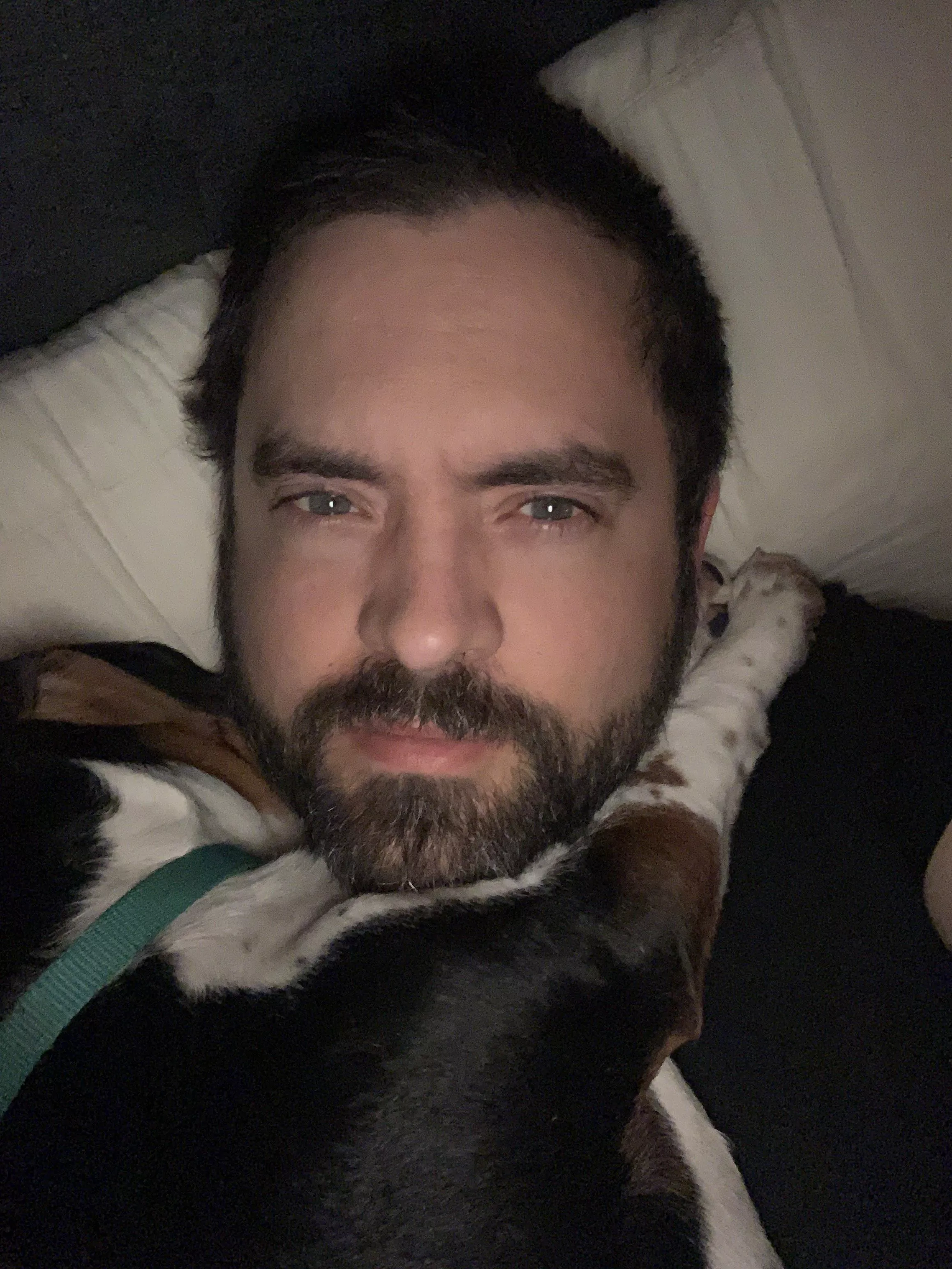 Puppy is not feeling good this morning.