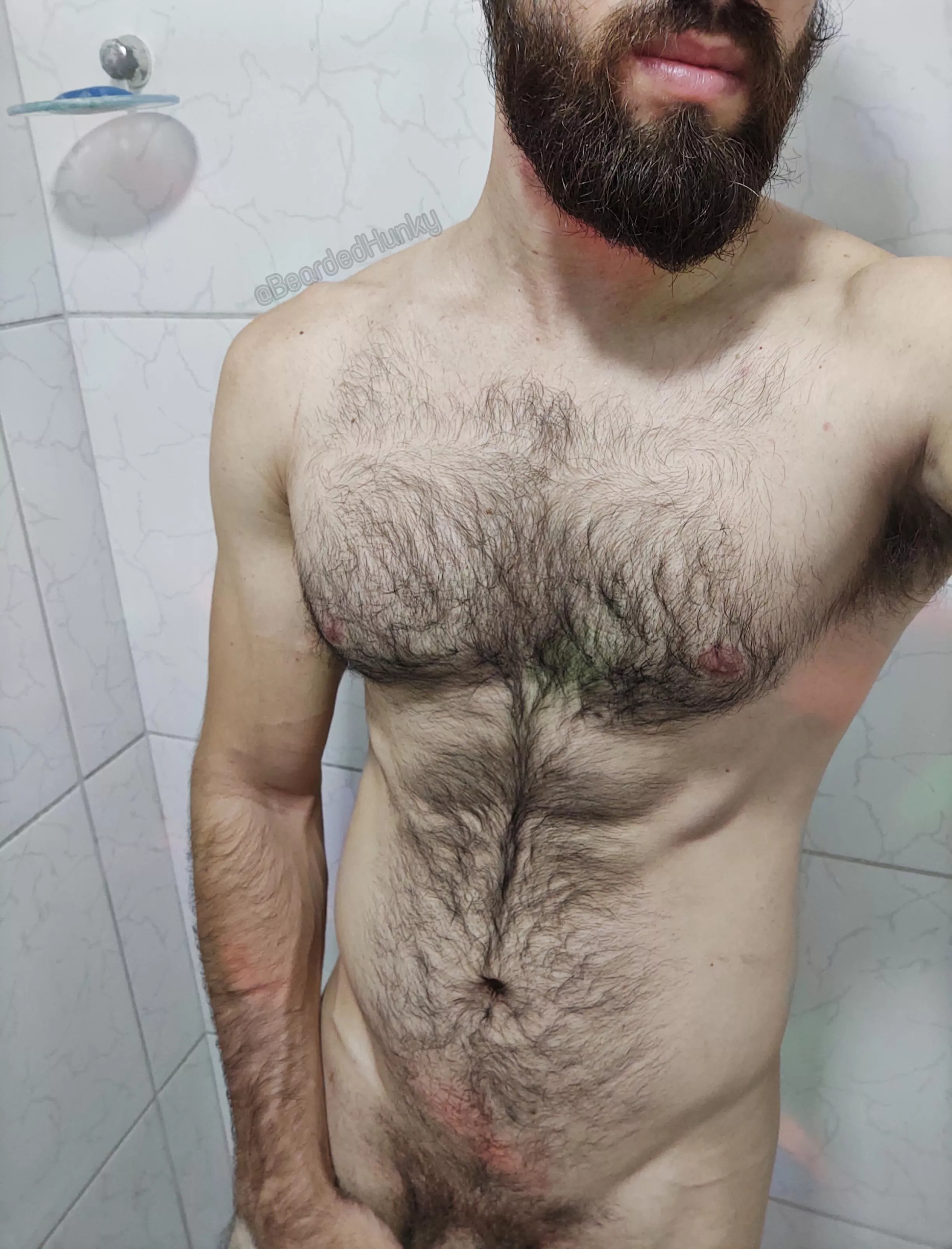 Hairy Chest Fetish