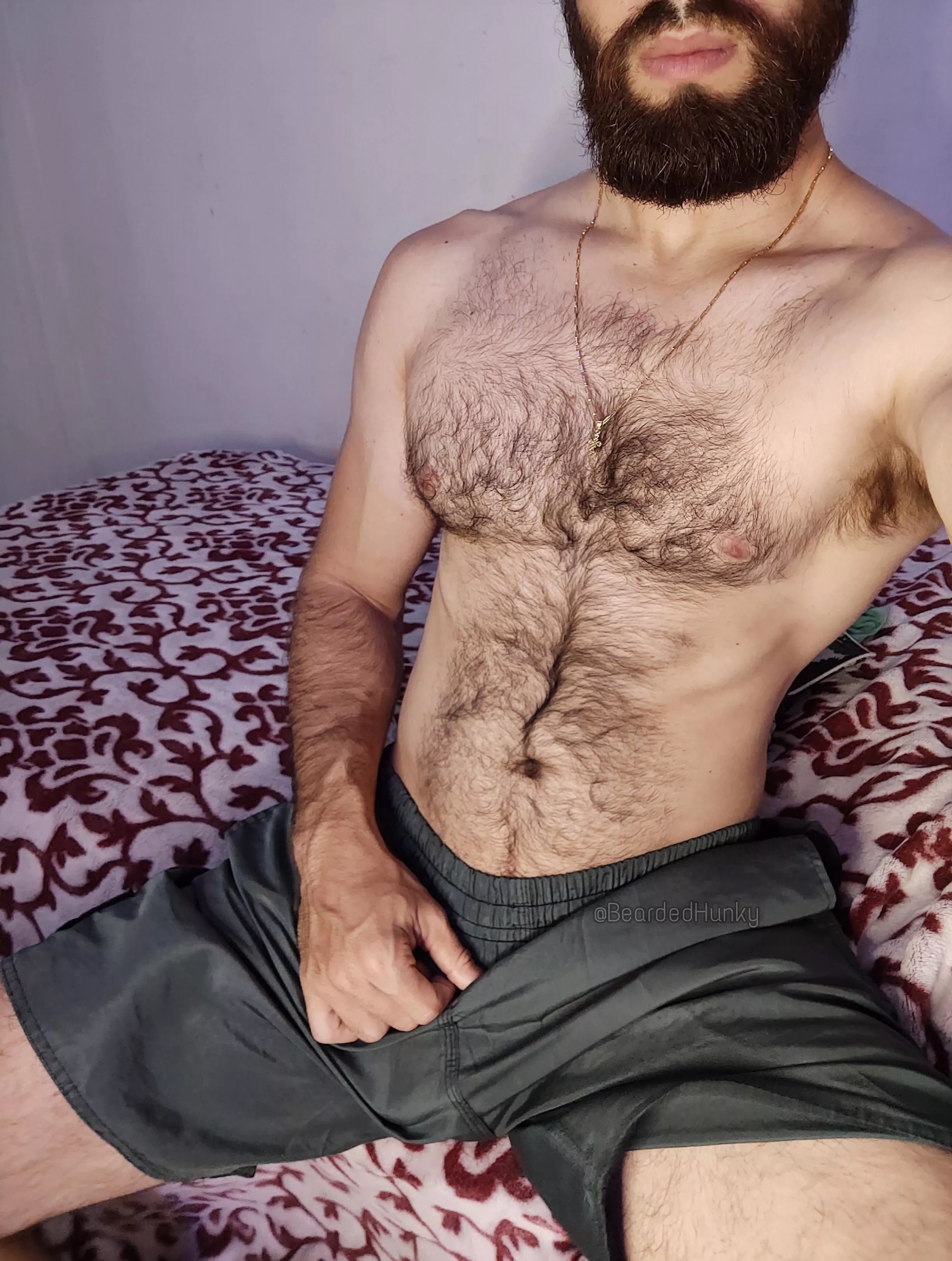 Pure chest hair porn Pure chest hair porn